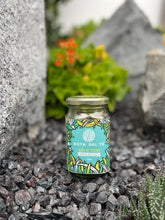 Infusión Agua de Verano