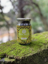 TÉ VERDE JENGIBRE LIMÓN